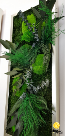 Tablou Mușchi și Plante Naturale Stabilizate Green Day [9]