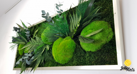 Tablou Mușchi și Plante Naturale Stabilizate Green Day [4]