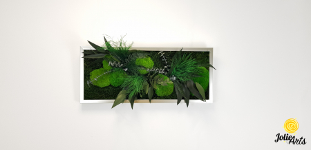 Tablou Mușchi și Plante Naturale Stabilizate Green Day [4]
