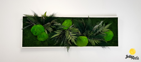 Tablou Mușchi și Plante Naturale Stabilizate Green Day [3]