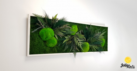 Tablou Mușchi și Plante Naturale Stabilizate Green Day [4]