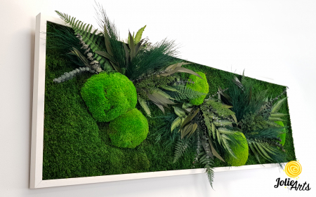 Tablou Mușchi și Plante Naturale Stabilizate Green Day [5]