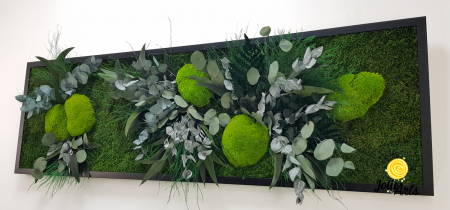 Tablouri cu licheni, muschi si plante naturale stabilizate - Tablou Mușchi și Plante Naturale Stabilizate Green Day