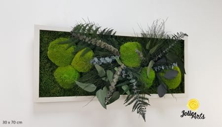 Toate Produsele - Tablou Mușchi și Plante Naturale Stabilizate Green Day