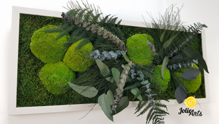 Tablou Mușchi și Plante Naturale Stabilizate Green Day [4]