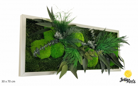 Tablou muschi si plante naturale stabilizate, model Green Day [0]