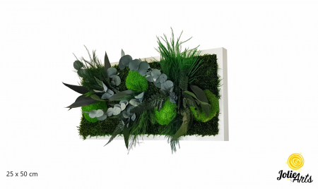 Tablouri - Tablou Mușchi și Plante Naturale Stabilizate Green Day