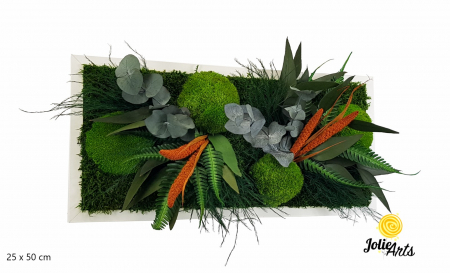 Tablouri - Tablou Green Day Orange Touch – Mușchi, plante și accente portocalii