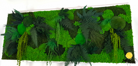 Tablou-Plante-Muschi-Licheni-Model-Personalizat.jpg [3]