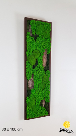 Toate Produsele - Tablou-Vertical-Licheni-Scoarta-Naturala.jpg