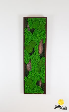 Tablou-Vertical-Licheni-Scoarta-Naturala.jpg [2]
