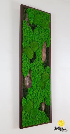 Tablou-Vertical-Licheni-Scoarta-Naturala.jpg [3]