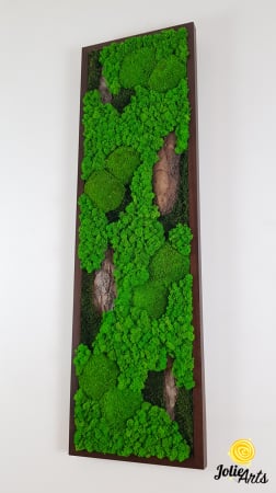 Tablou-Vertical-Licheni-Scoarta-Naturala.jpg [4]