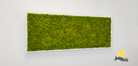 Verde Spring [4]