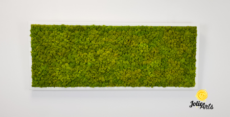 Verde Spring [3]