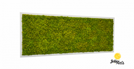 Verde Spring [1]