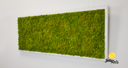 Verde Spring [2]