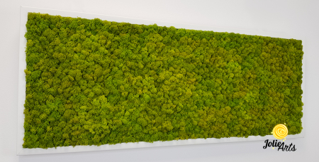 Verde Spring [5]