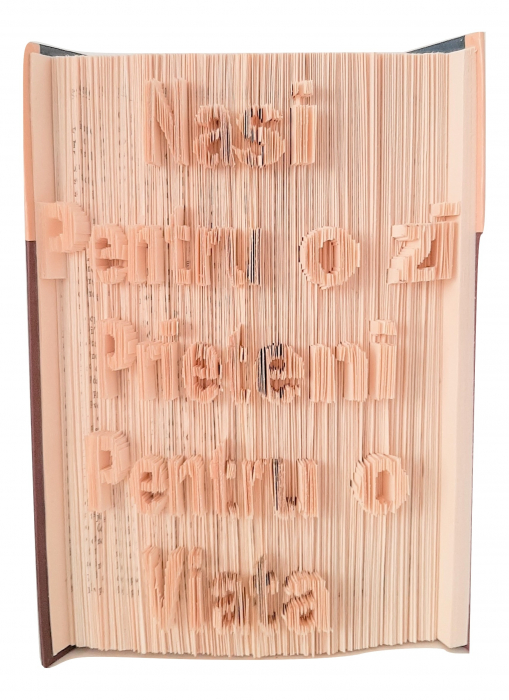 Cadou nasi -nasi pentru o zi prieteni pentru o viata -carte sculptata [1]