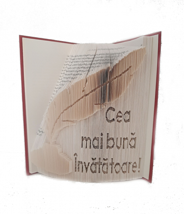 Carte sculptata Calimara cu Cea mai bună Invatatoare [1]