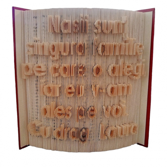Cadou nasi -nasi pentru o zi prieteni pentru o viata -carte sculptata [1]