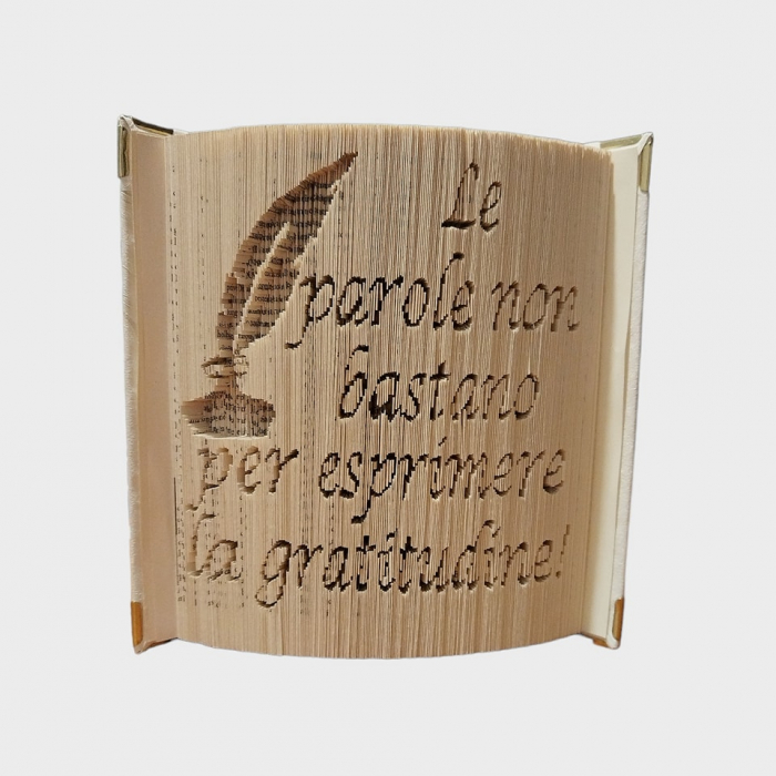 Cadou pentru profesor, diriginta,educatore, cadre didactice [1]