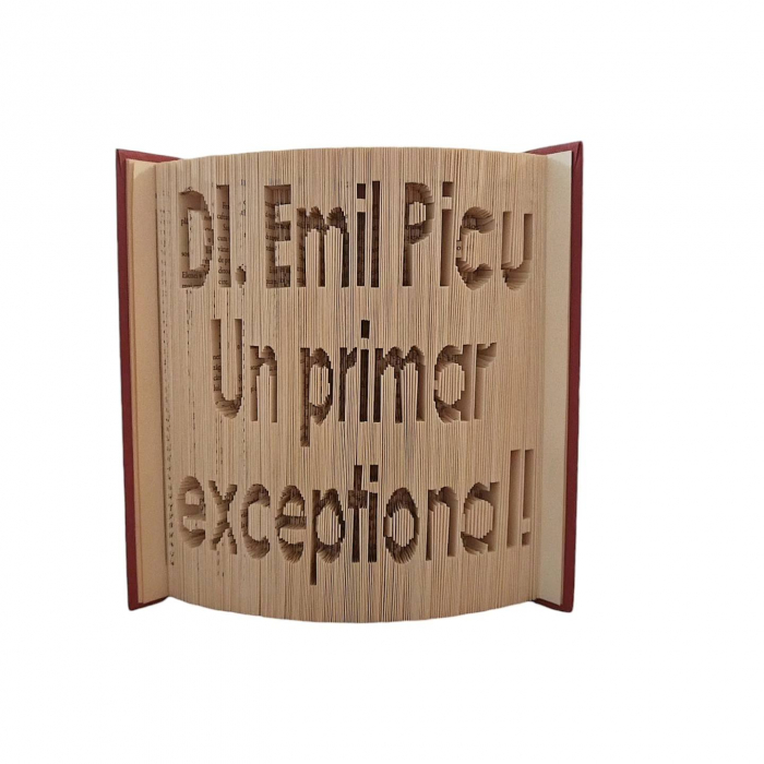 Cadou pentru primar- carte sculptata 100%manual [1]