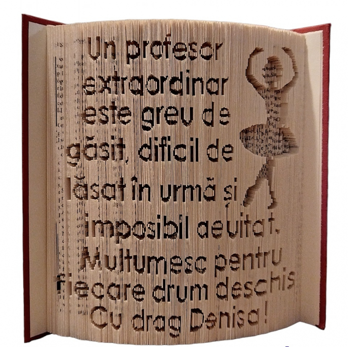 Cadou pentru învățătoare, profesor, diriginta,educatore, cadre didactice - [1]