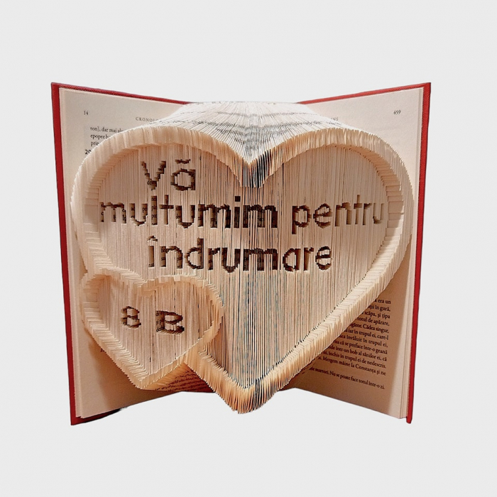 Cadou pentru profesor, diriginta,educatore, cadre didactice [1]