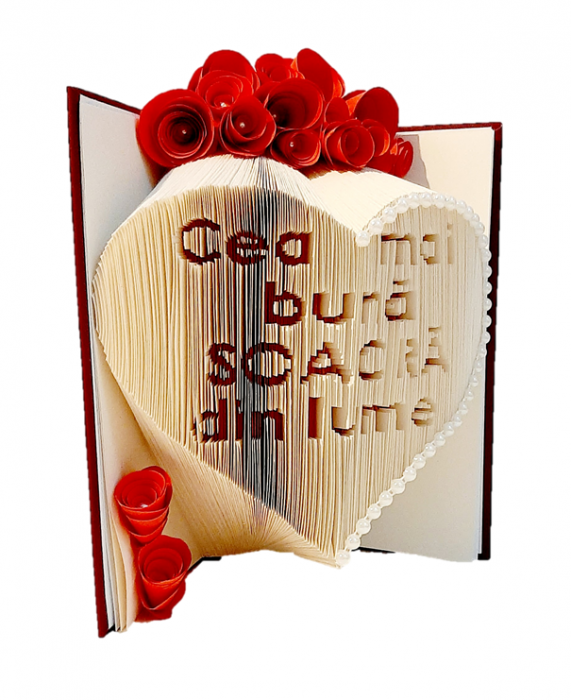 cea mai buna soacra din lume-carte sculptata [2]