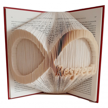 Cadou Profesori - Carte sculptata infinit+respect