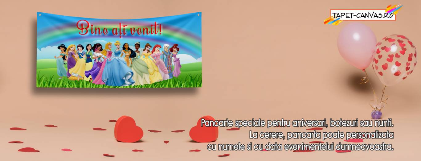 Banner petrecere copii