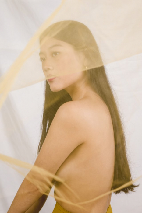 Tablou Canvas - Femeie sexy nud cu voal [2]