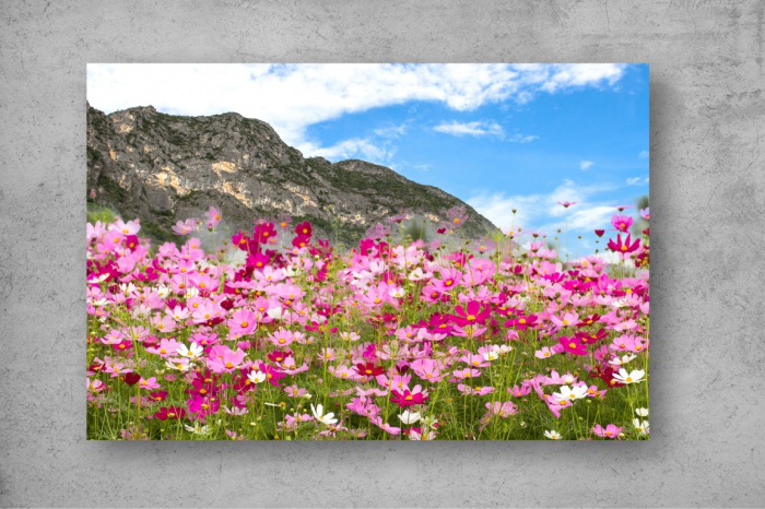 Tablou Canvas - Flori de munte [2]