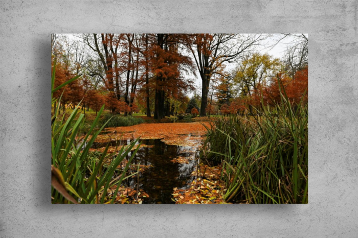 Tablou Canvas - Lacul din parc [2]
