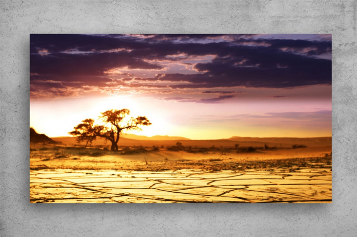 Tablou Canvas - Pamant arid la rasarit [2]
