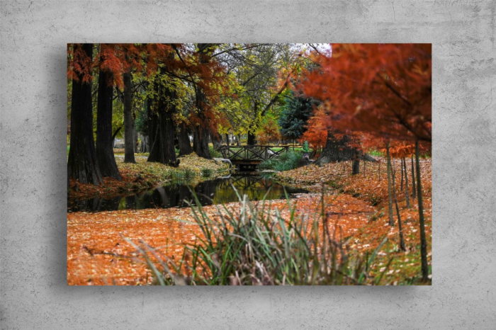 Tablou Canvas - Peisaj de toamna in Parcul Romanescu [2]