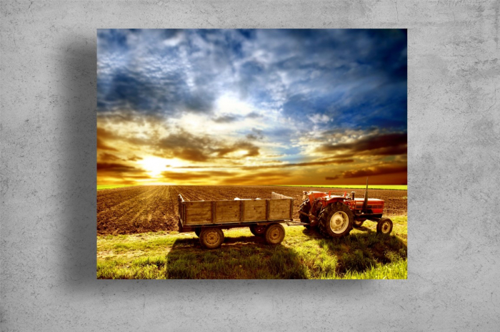 Tablou Canvas - Rasarit pe camp [2]