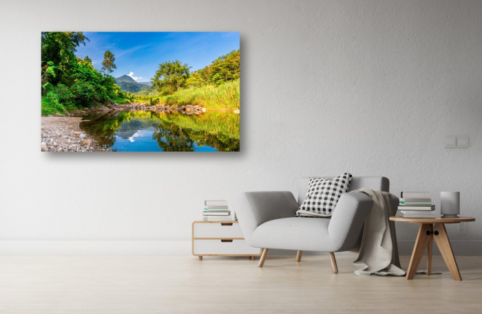 Tablou Canvas - Raul si padurea [1]