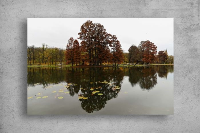 Tablou Canvas - Reflexia pomilor in lacul din parc [2]