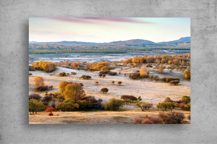 Tablou Canvas - Tinut mongolez [2]
