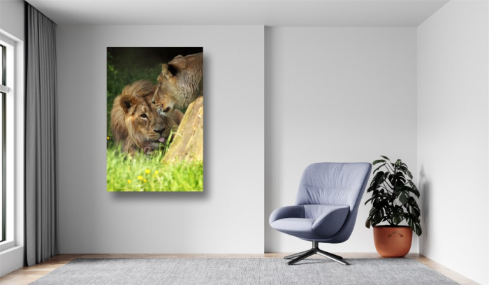 Tablouri Canvas Animale - Lei simpatici [2]