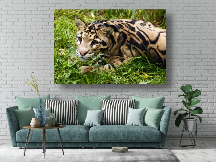 Tablouri Canvas Animale - Leopard in iarba [2]