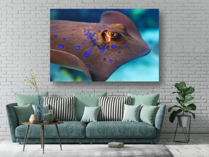 Tablouri Canvas Animale - Navigand prin ocean [2]