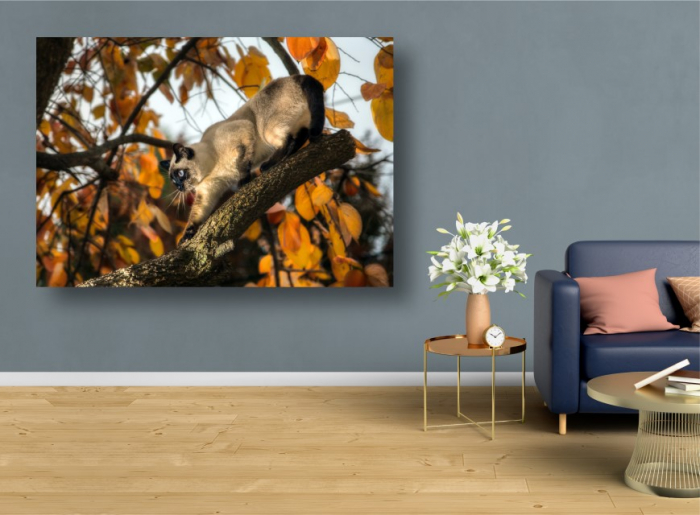 Tablouri Canvas Animale - Pisica la vanatoare [2]