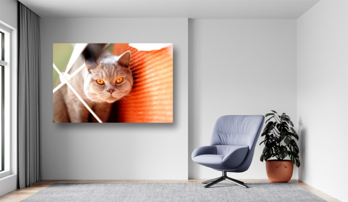 Tablouri Canvas Animale - Pisica portocalie [2]