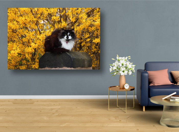 Tablouri Canvas Animale - Pisica si flori galbene [2]