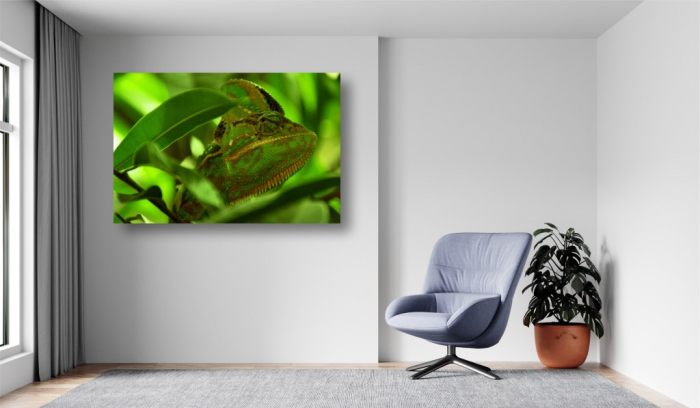 Tablouri Canvas Animale - Un cameleon [2]
