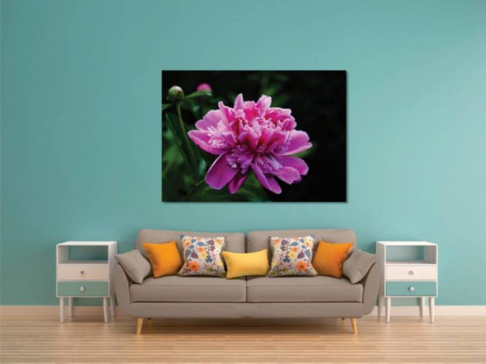 Tablouri Canvas Flori - Floare inflorita [2]