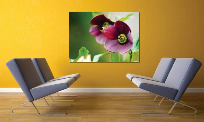 Tablouri Canvas Flori - Floare mov [2]